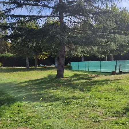 Avec Piscine Et Billard